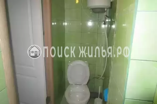 «Кот и овсянка» «Кот и овсянка»