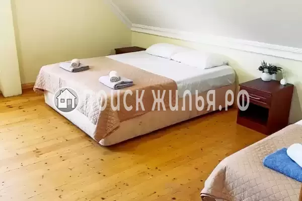 «София» «София»