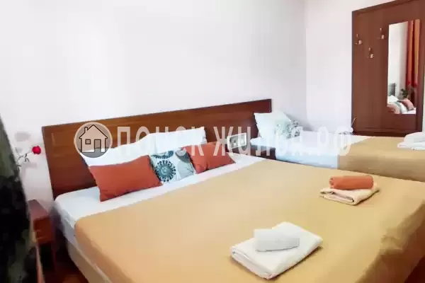 «София» «София»