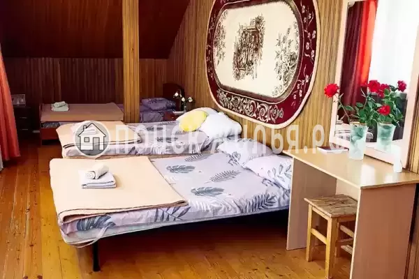 «София» «София»