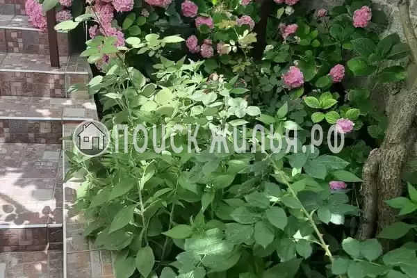 Частный сектор «Родничок» Частный сектор «Родничок»