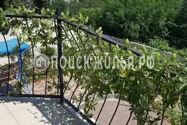 Гостевой дом «Вилла Мечта»