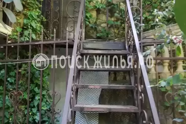 «Под пальмами» «Под пальмами»