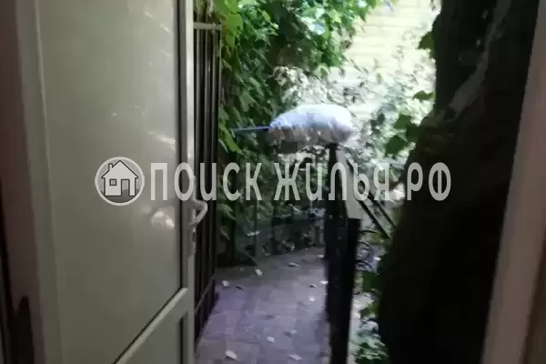 «Под пальмами» «Под пальмами»