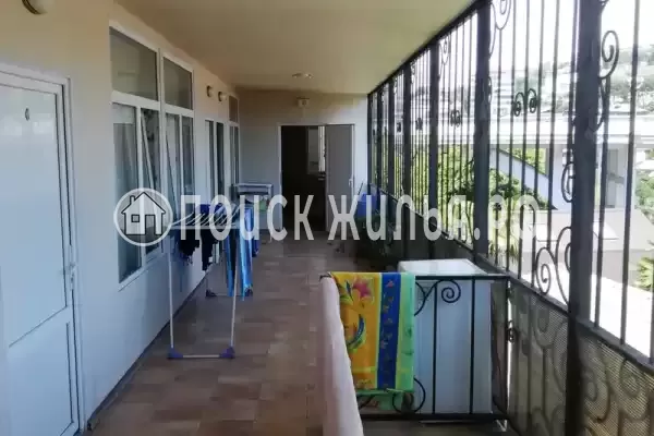 «Под пальмами» «Под пальмами»