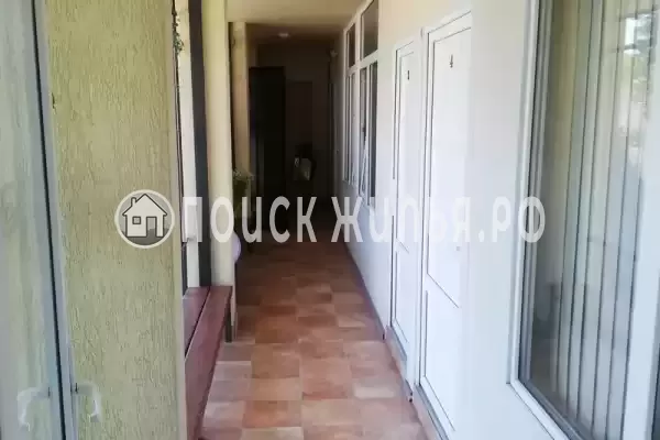 «Под пальмами» «Под пальмами»