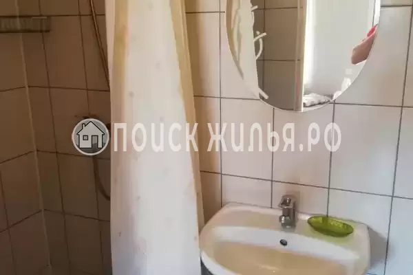 «Под пальмами» «Под пальмами»