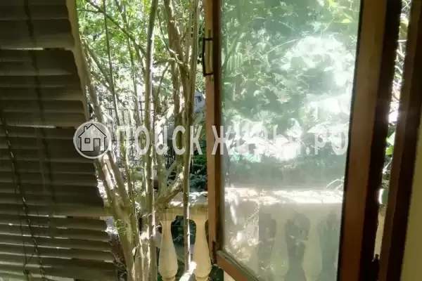 «Под пальмами» «Под пальмами»