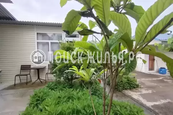 «Пальмира» «Пальмира»