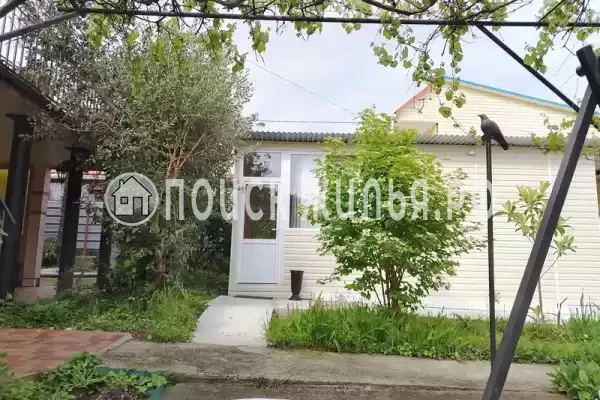 «Пальмира» «Пальмира»