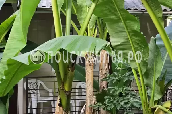 Частный сектор «Санрайз»