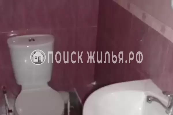 «Виноградная лоза»