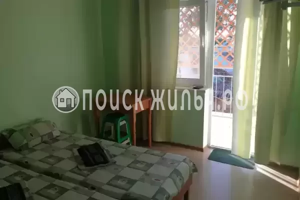 «Виноградная лоза»