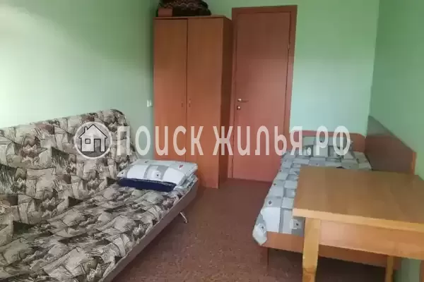 «Виноградная лоза»