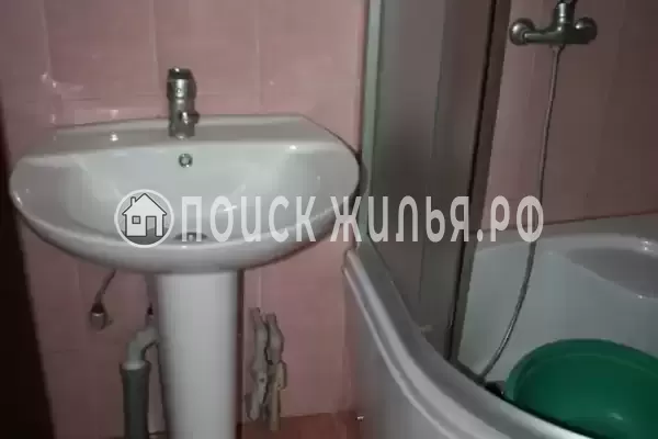 «Виноградная лоза»