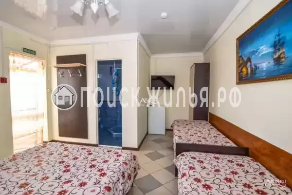 «Береговой»