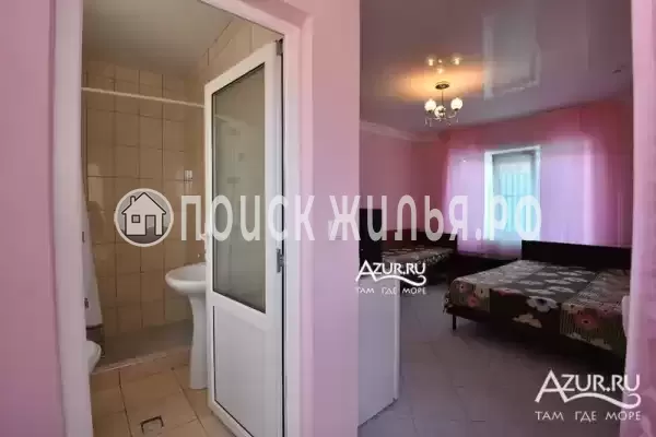 «Береговой»