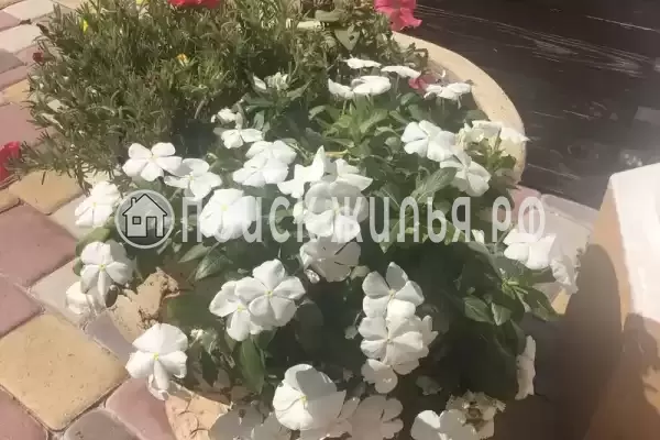 Частный сектор «Алекс Хаус»