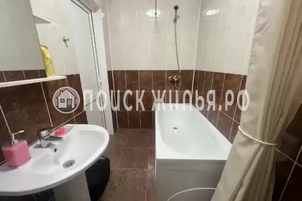 «Южная роза» «Южная роза»