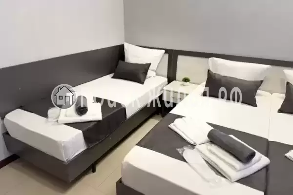 «Южная роза» «Южная роза»