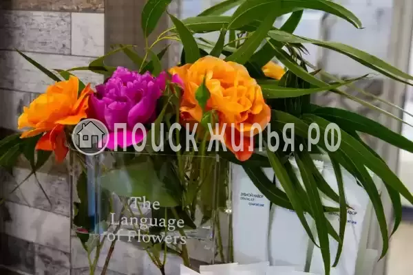 Гостевой дом «Мэри» Гостевой дом «Мэри»