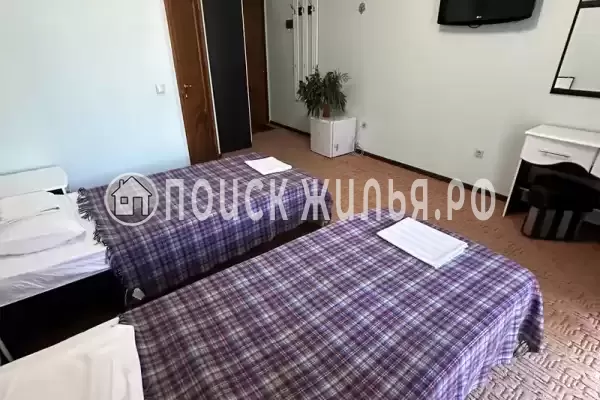 «Пани София» «Пани София»