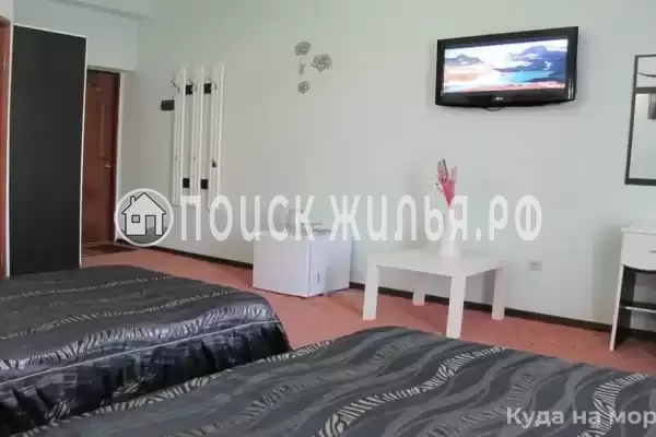 «Пани София» «Пани София»