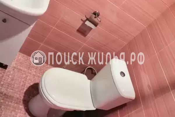 «Белый Кот» «Белый Кот»