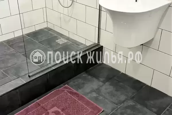 «Елки-палки»