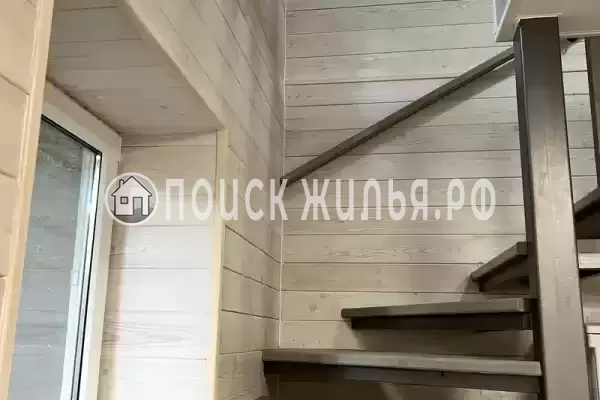 «Елки-палки»