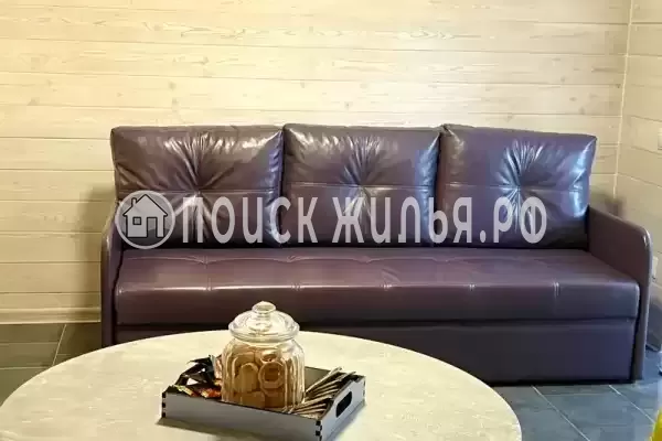 «Елки-палки»