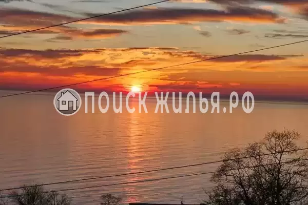 «Виллоо Боско»