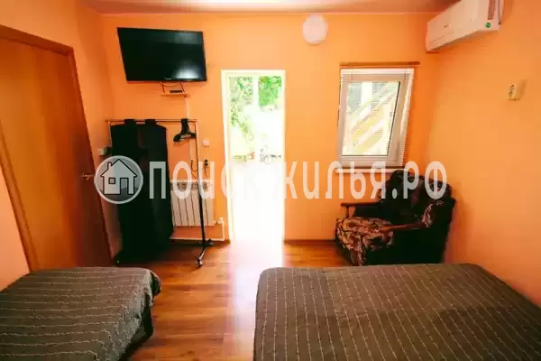 «Александрия» «Александрия»