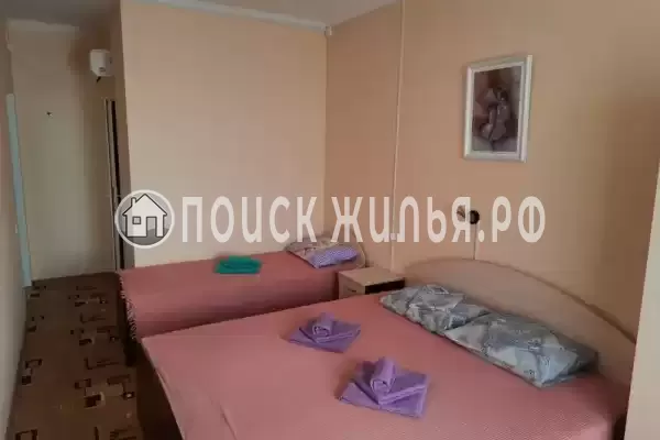 «На Виноградной 66»