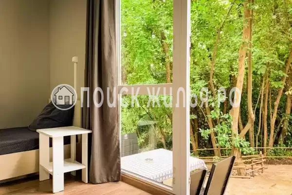 «Новая грация»