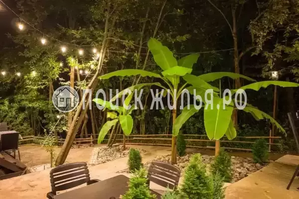 «Новая грация»