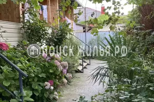 «Злата» «Злата»