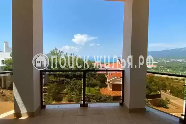 «Кедровая роща» «Кедровая роща»