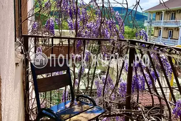 «Золотая рыбка» «Золотая рыбка»