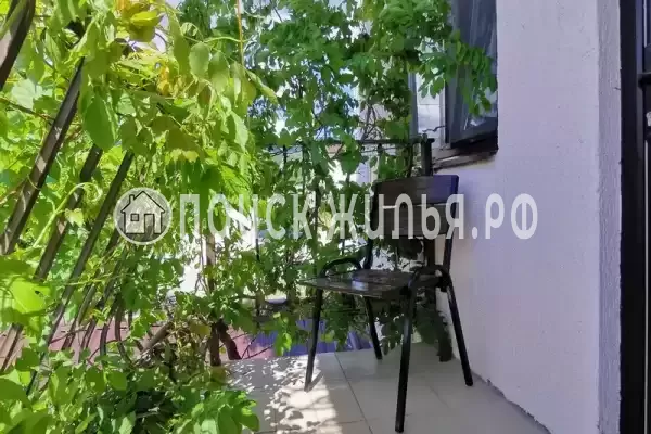 «Золотая рыбка» «Золотая рыбка»