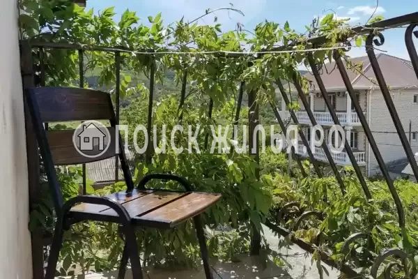 «Золотая рыбка» «Золотая рыбка»