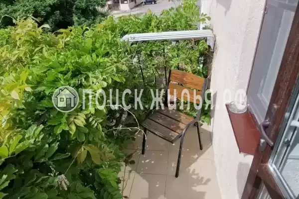 «Золотая рыбка» «Золотая рыбка»