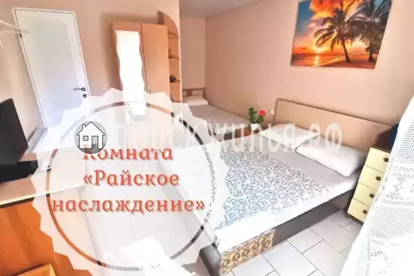 «Золотая рыбка» «Золотая рыбка»