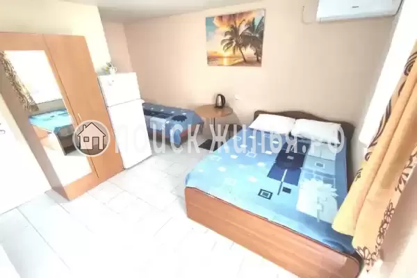 «Золотая рыбка» «Золотая рыбка»