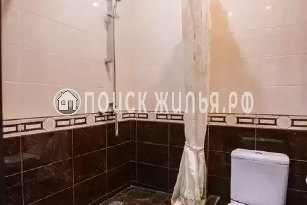 «Золотая подкова» «Золотая подкова»