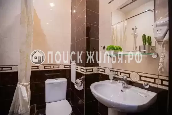 «Золотая подкова» «Золотая подкова»