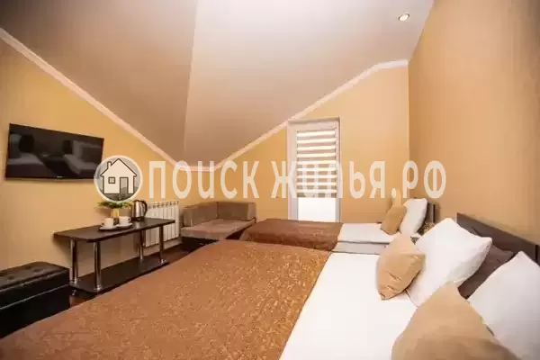 «Золотая подкова» «Золотая подкова»