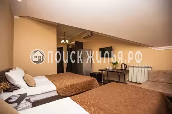 «Золотая подкова» «Золотая подкова»