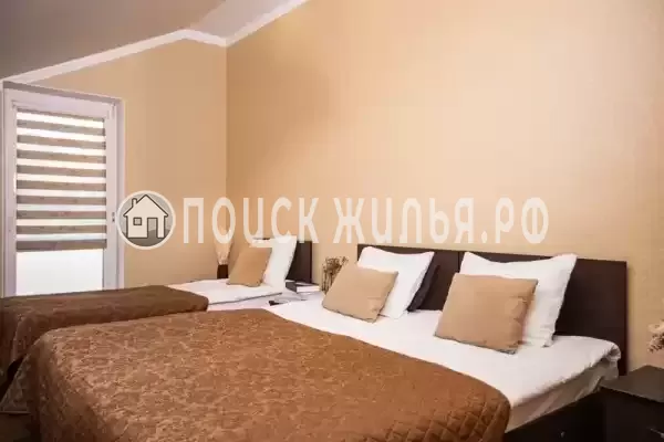 «Золотая подкова» «Золотая подкова»