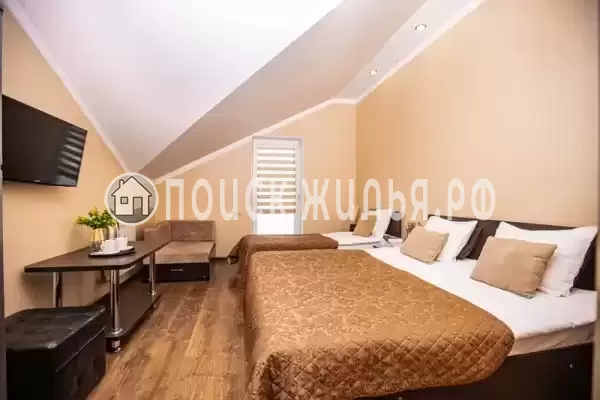 «Золотая подкова» «Золотая подкова»